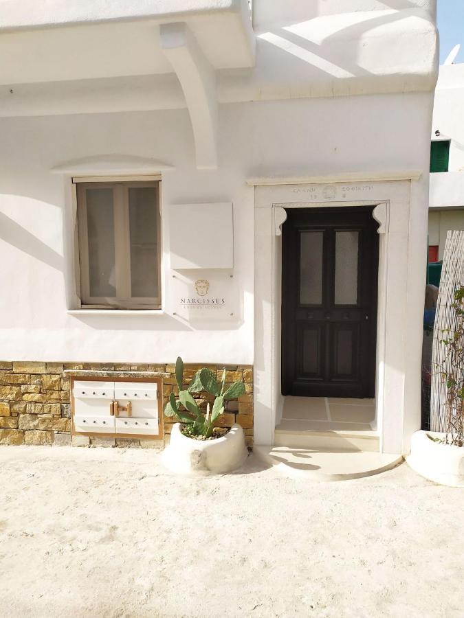 Narcissus Luxury Suites Naxos City Exteriör bild