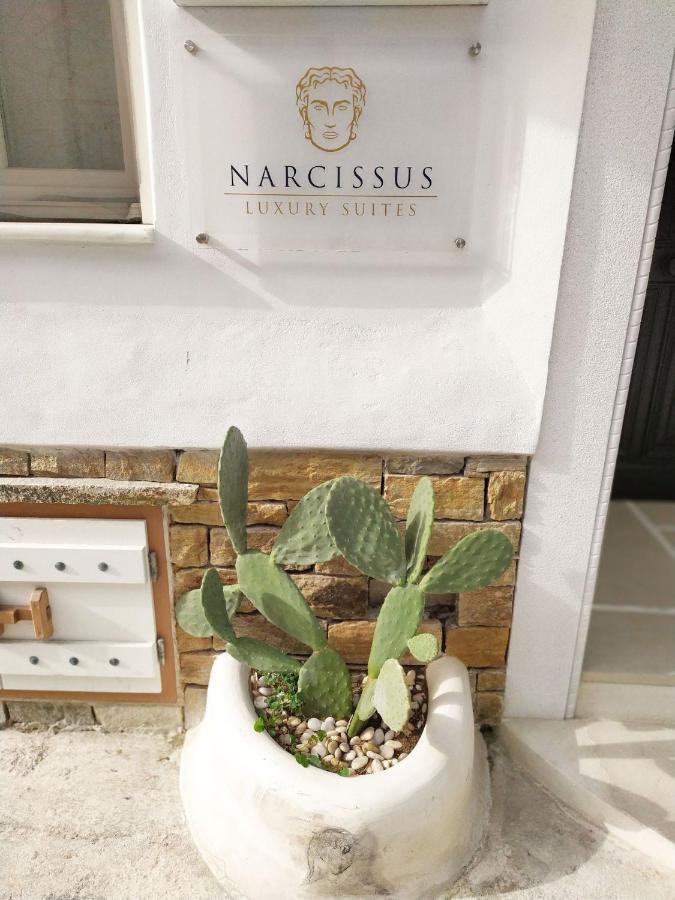 Narcissus Luxury Suites Naxos City Exteriör bild