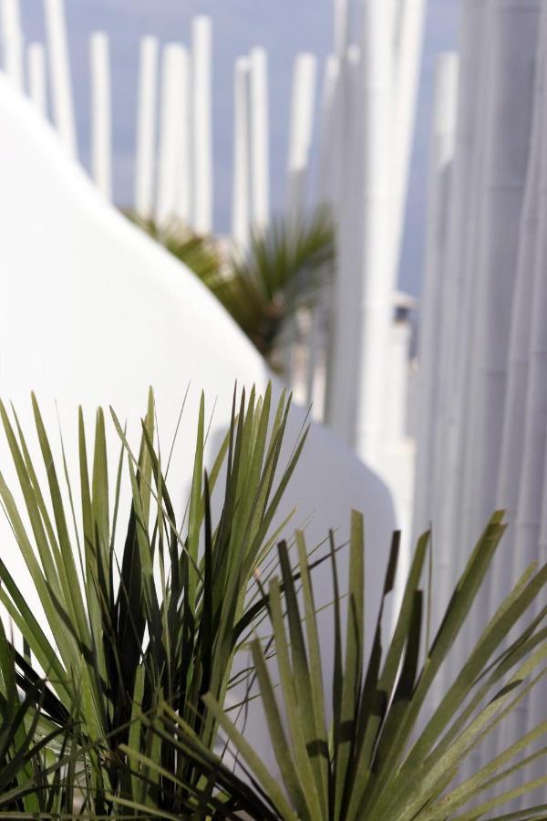 Narcissus Luxury Suites Naxos City Exteriör bild